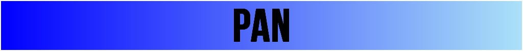  Pan